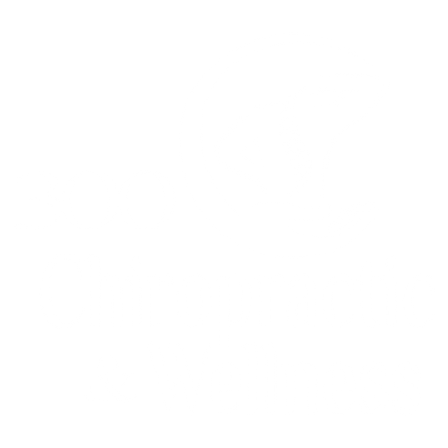 300 Wellness